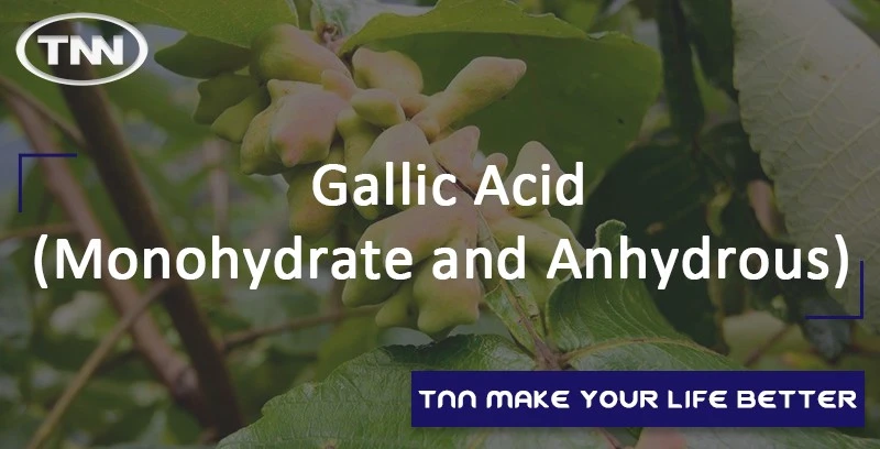 gallic acid gallic acid