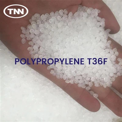 Polipropilena T36F